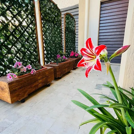 Apartment Al Manzil *